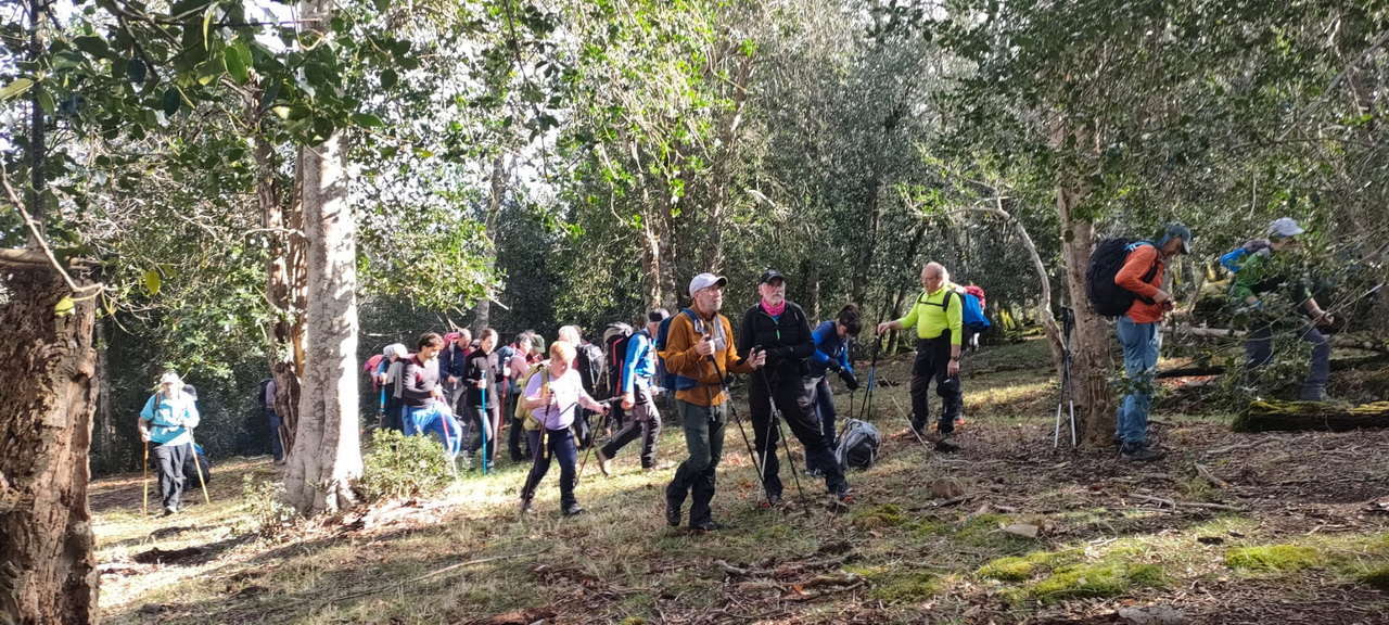 WhatsApp Image 2026-03-08 at 21.27.46